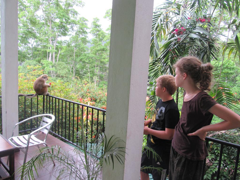 Hanthana Holiday Rooms Kandy Bagian luar foto